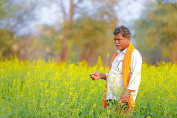 Indian farmer at black mustard field