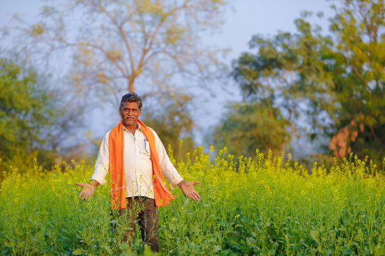 Indian farmer at black mustard field