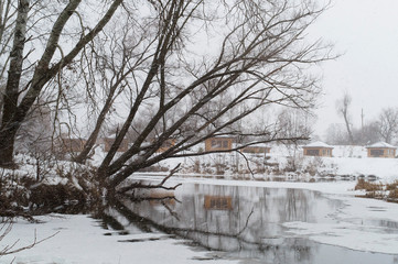 Fototapeta premium winter landscape frozen creek in the forest