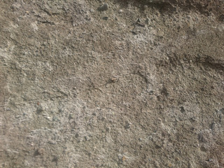 concrete wall