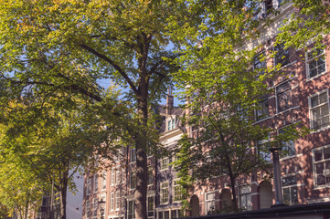 facades of brick houses of Amsterdam with tress in front