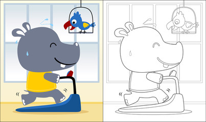 Vector cartoon of hippo running on a treadmill with cockatoo, coloring book or page