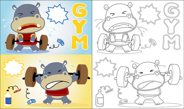 Vector of hippo cartoon the funny lifter , coloring book or page