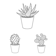 Vector illustration of cactus and pot icon. Set of cactus and cacti stock symbol for web.