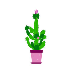 Cactus isolated with flowers