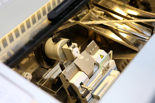 Lame microscope congel&eacute;