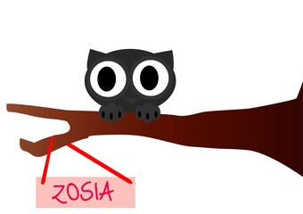 sowa