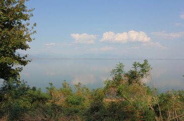 Lake of Kerkini Serres Greece Europe