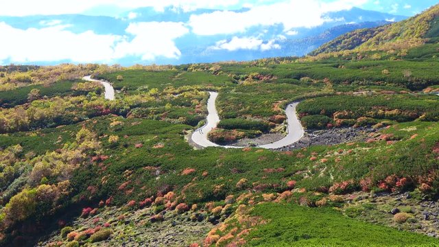 雲海の乗鞍岳、位ヶ原の紅葉とエコーライン
