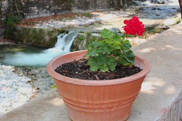 River and Springs in Pozar Thermal Baths Aridaia Greece