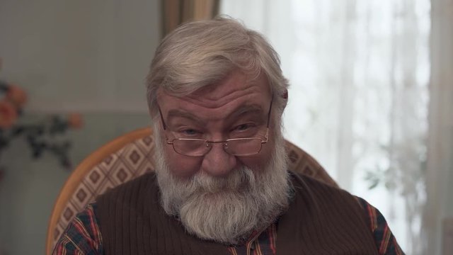 Portrait of adult darling grandfather with a big beard and a kind look who corrective glasses on the nose