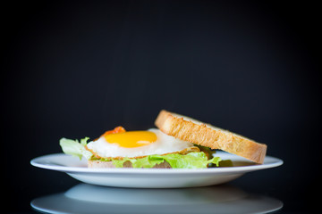 fresh sandwich with lettuce leaves and fried egg with hot toasts