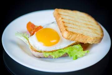 Fototapeta premium fresh sandwich with lettuce leaves and fried egg with hot toasts