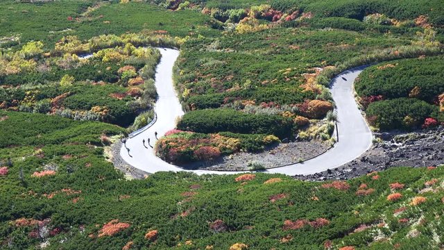 雲海の乗鞍岳、位ヶ原の紅葉とエコーライン