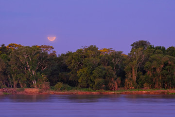 Rainforest with the Blood Moon right afrer lunar eclipse, Cuiaba River, Porto Jofre, Pantanal, Mato...