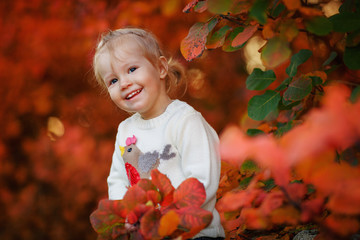 Little girl playing with autumn leaves in the park. Happy child with a bouquet of leaves in the forest. - Image