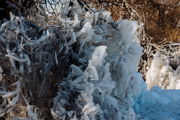 Frozen ice tree in the winter. The parts of the tree are frozen.
