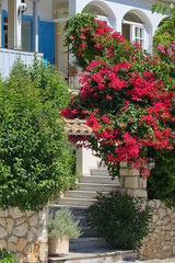 Summer house in Lefkada