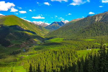 Karakol Gorge Kyrgyzstan 21