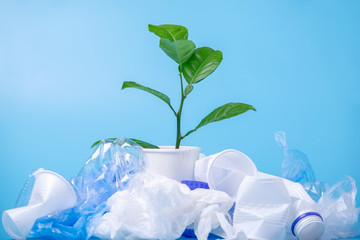Green plant grows among plastic garbage. Bottles and bags on blue background. Environmental protection and waste sorting