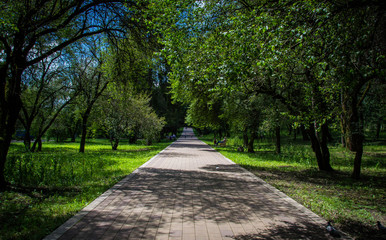 Park