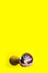 Male hand holding fresh picked red cabbage against bright yellow wall.Concept of harvest.Vertical shot