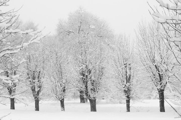 Winter Tale in Izmailovo, Moscow