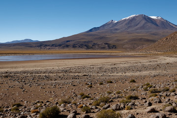 Trzydniowa, pełna wrażeń wyprawa na Altiplano w Boliwii, w 6-osobowej grupie miezynarodowej. - obrazy, fototapety, plakaty