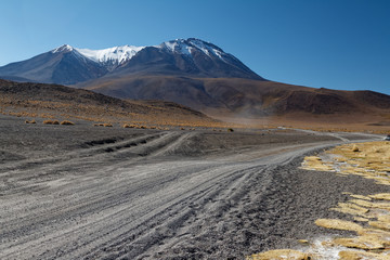 Trzydniowa, pełna wrażeń wyprawa na Altiplano w Boliwii, w 6-osobowej grupie miezynarodowej. - obrazy, fototapety, plakaty