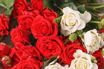 Bouquet of fresh red and white roses,