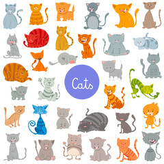 funny cat and kitten characters large set