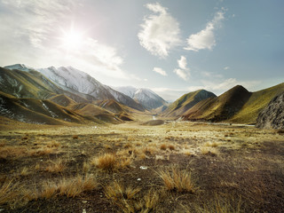 Mountain Landscape in New Zealand