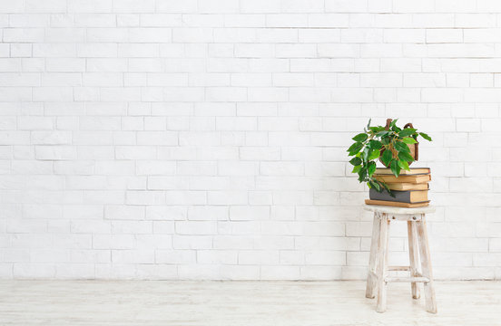 Plant on stack of books over white brick wall