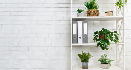 Office bookshelf with plants and folders over wall