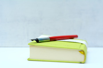 Fototapeta premium On the book is a vintage fountain pen.
