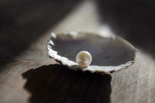 a lit pearl lies on the edge of the shell