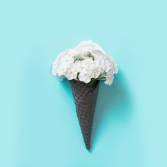 White phlox flower in waffle cone on blue background.