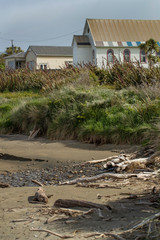 Kaka point coast. New Zealand, Beach and church