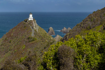 Fototapeta na wymiar Nugget Point New Zealand. Coast and ocean. Lighthouse