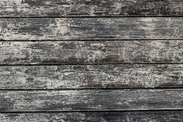 vintage wood background texture with the knots