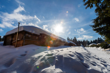 Fototapete bei efototapeten.de bestellen   