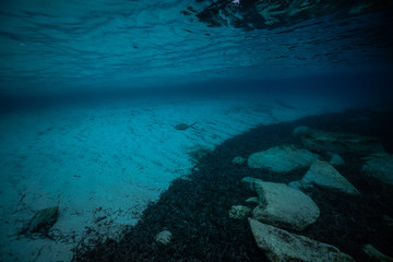 BLUE UNDER WATER, Sea or ocean underwater coral reef
