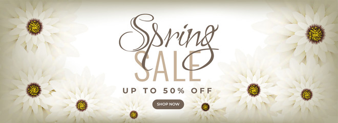 Beautiful header or banner design decorated with daisy flowers for Spring sale advertising concept.