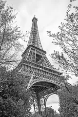 Zelfklevend Fotobehang Eiffeltoren in Parijs © Roman Sigaev