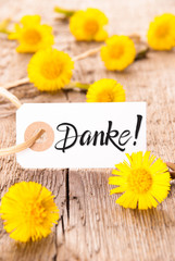 Naklejka premium Label, Dandelion, Calligraphy Danke Means Thank You