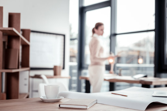 Respectful Young Corporation Director Being Busy Preparing For Office Meeting