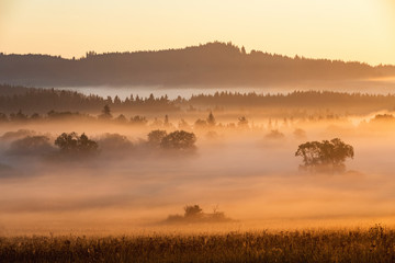 Fototapeta na wymiar Morning mists in the Bohemian Forest, fogs lit by morning sun tinted orange. Summer landscape in fog, Sumava, Czech Republic