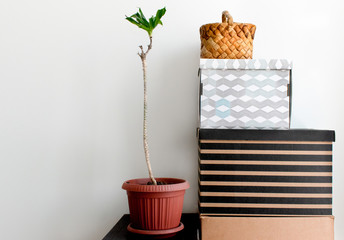 a pyramid of boxes and a bast-basket against a white wall. next is a flower pot
