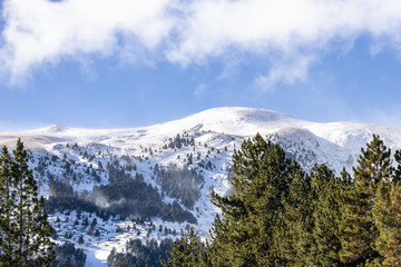 mountain with snow