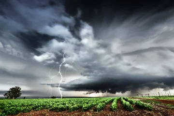 Fototapeten Dramatic thunderstorm with lightning landscape over a farm in the Highveld of South Africa © EtienneOutram